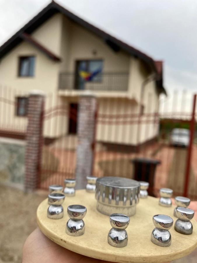 Casa Brancusiana Lejlighed Târgu Jiu Eksteriør billede